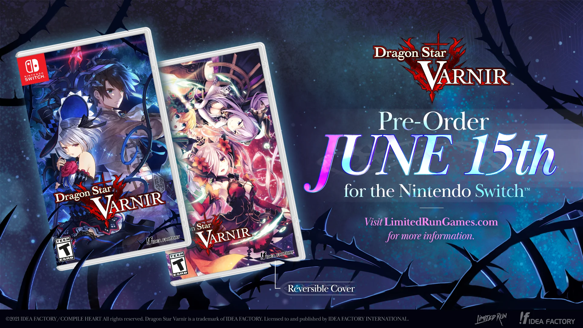 Dragon Star Varnir (Switch) - Image 2