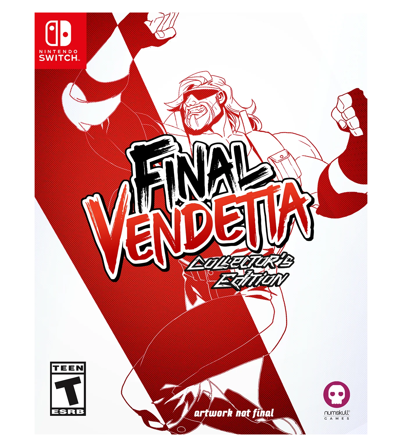 Final Vendetta Collector's Edition (Switch) - Image 2