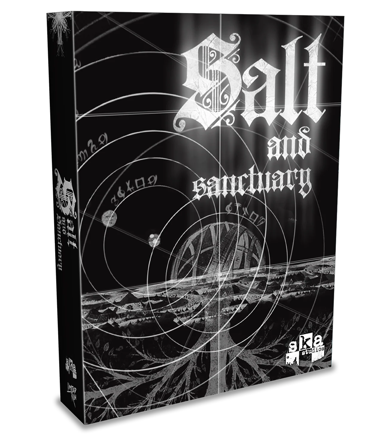 Limited Run #166: Salt & Sanctuary Collector's Edition (PS4)