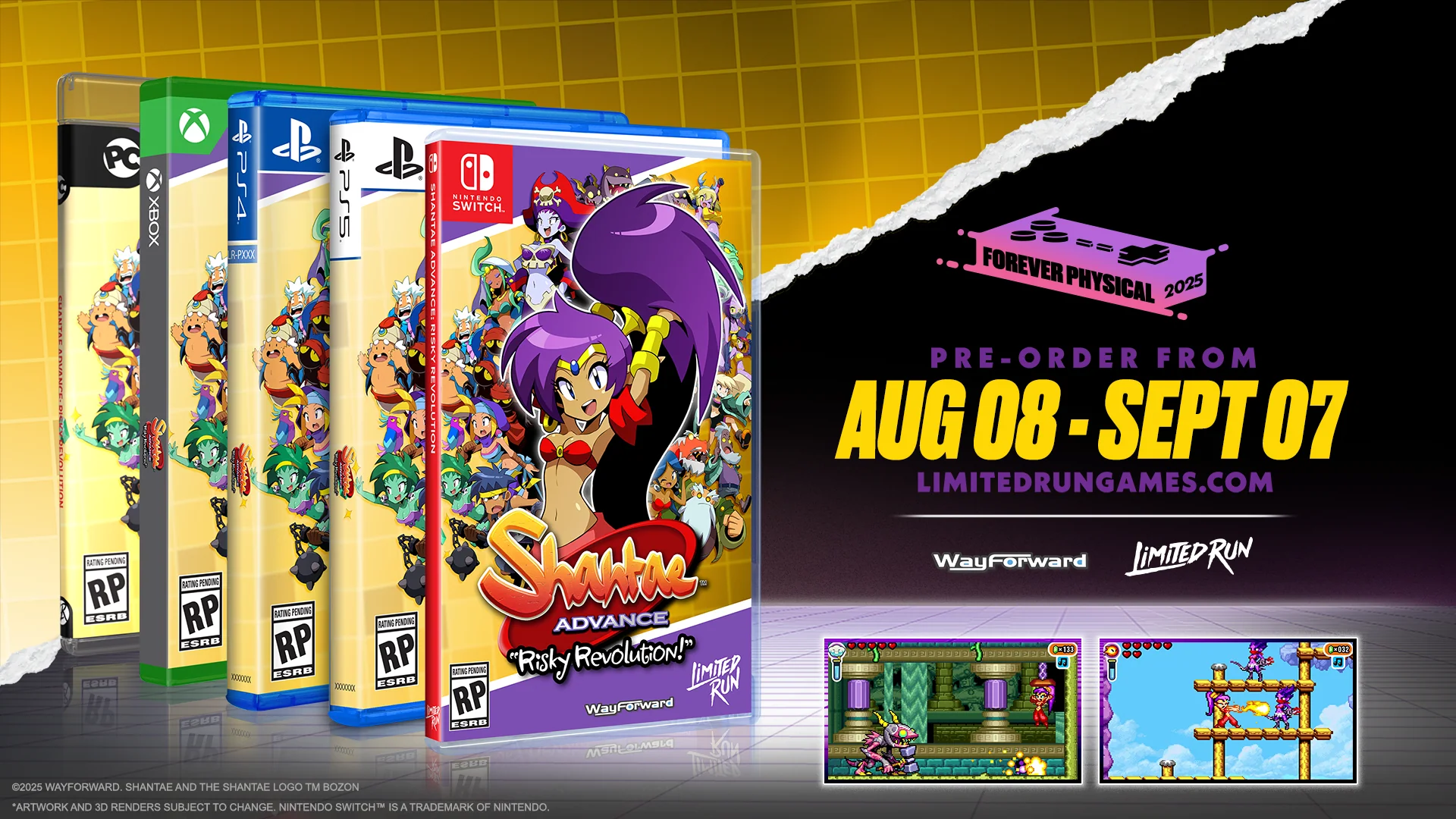 Shantae Advance: Risky Revolution Standard Edition (Switch, PS5, PS4, Xbox, PC) - Image 2
