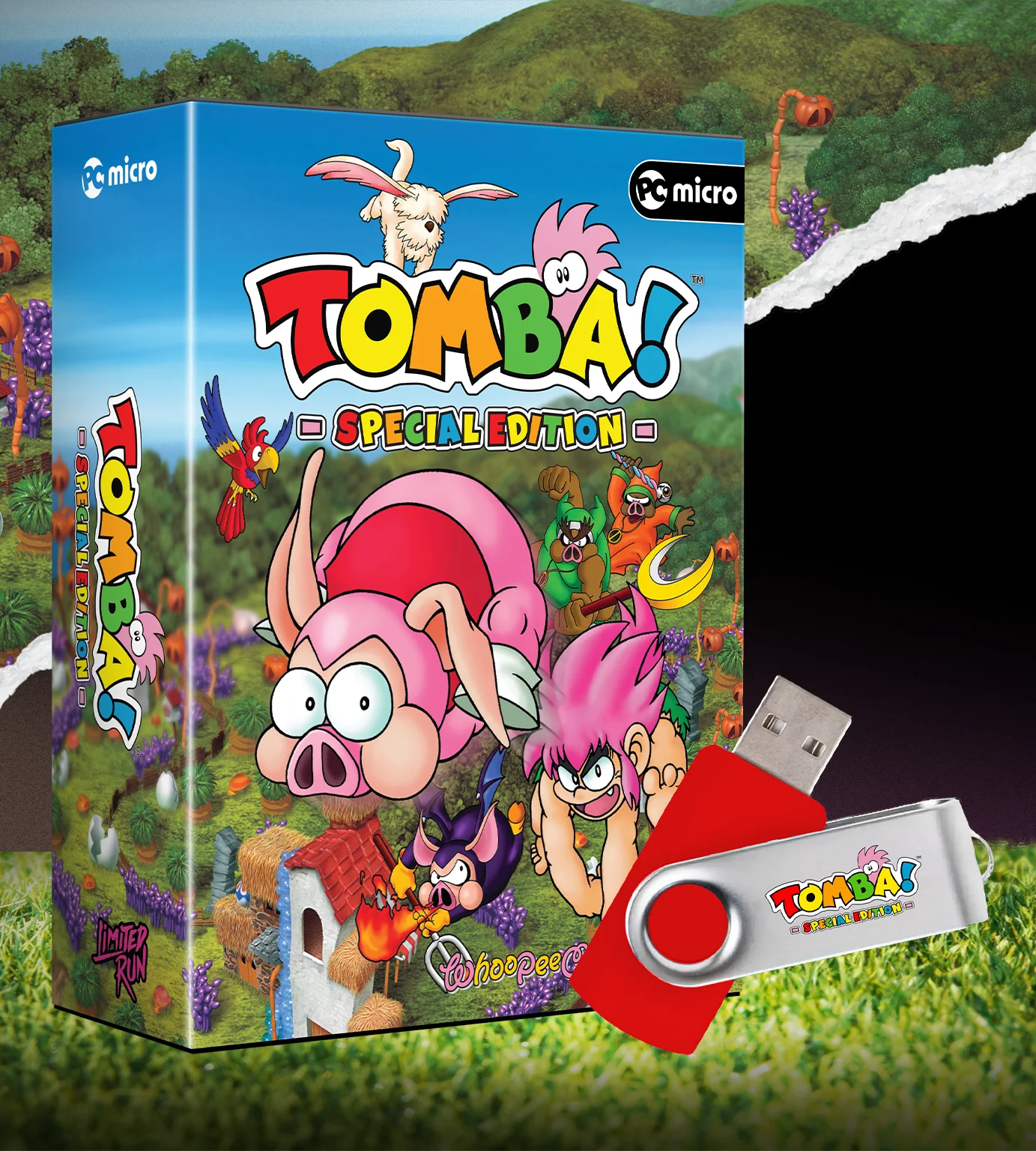 Tomba! Special Edition (PC) - Image 2